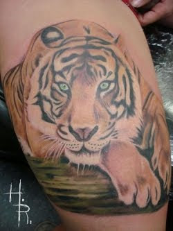 Baby Tiger Tattoo Design