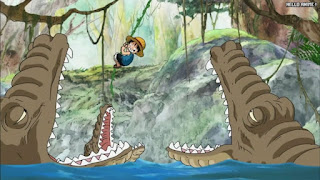 ワンピースアニメ 幼少期 493話 | ONE PIECE Episode 493