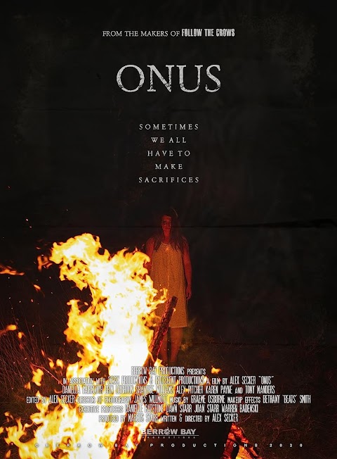 Onus (2020) 480p HDRip Hindi ORG Dual Audio Movie ESubs [300MB]