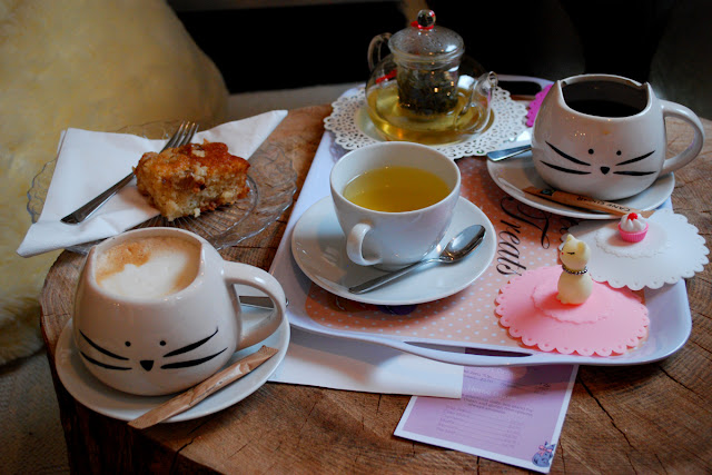 Cat mugs - The Cat In the Window Cafe - Aberdeen