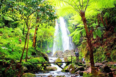 Taman wisata alam Grojogan Sewu Tawangmangu
