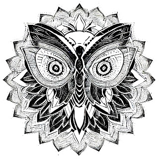 butterfly with owl's eyes