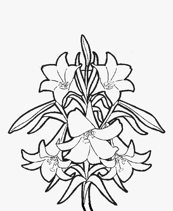 flower coloring pages