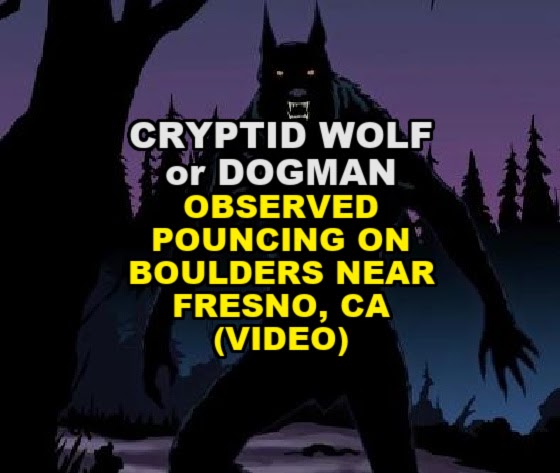 CRYPTID WOLF / DOGMAN Observed Pouncing on Boulders Near Fresno, CA (VIDEO)