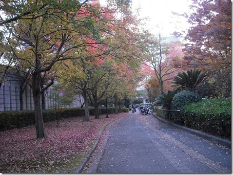DSCF9912
