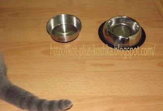 посуда для кошек, миски для котов, фото
