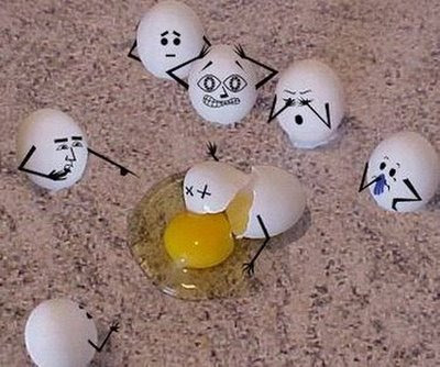 Funny Egg Photography