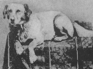 Fido: Lincoln's Beloved 'Yaller' Dog