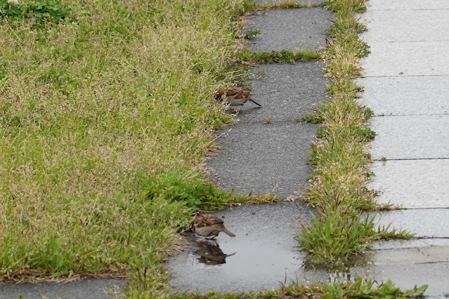 鳥取県境港市竹内団地 夢みなと公園