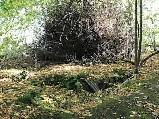 A view of a trench at Dreghorn Woods with some corrugated iron on both sides.  Photograph by Kevin Nosferatu for the Skulferatu Project.