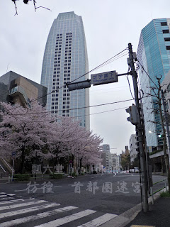 さくらを前景に愛宕グリーンヒルズを見上げる