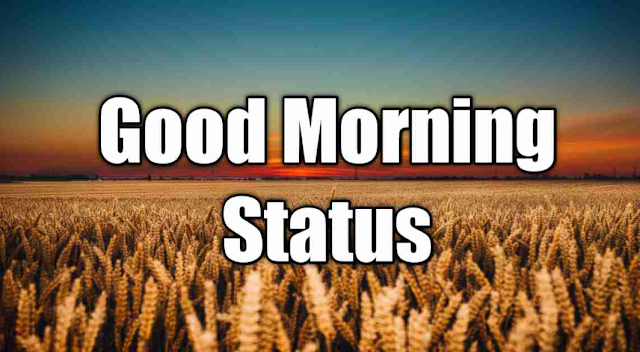 Good Morning Thoughts & Status In Hindi 