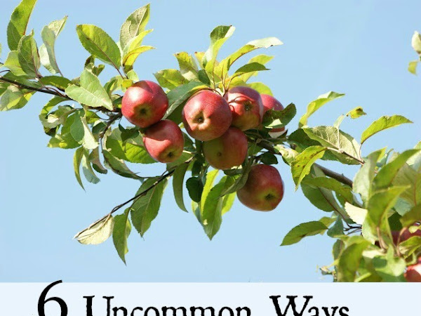 Uncommon Ways to Use Apples