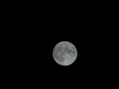 夜空とお月様
