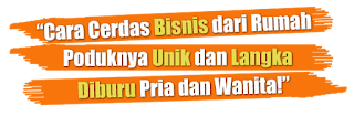 peluang bisnis hwi