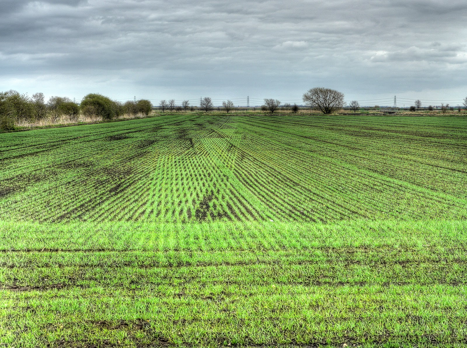 P1060885_79_80_81_82_83_84_tonemapped.jpg