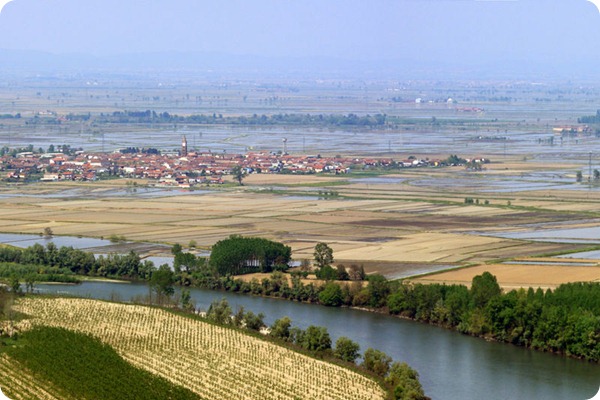 RisaieVercellesi_Panorama2