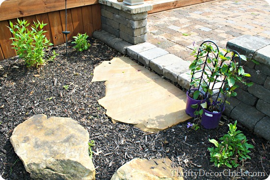 pruning butterfly bush