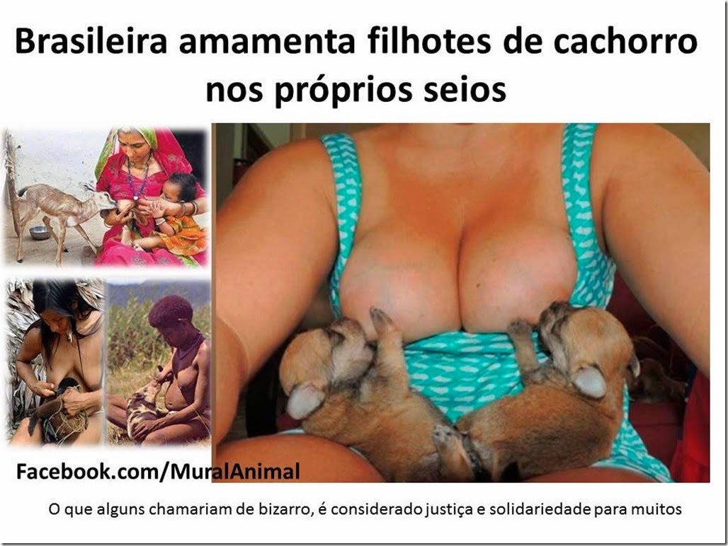 mulheramamentado1