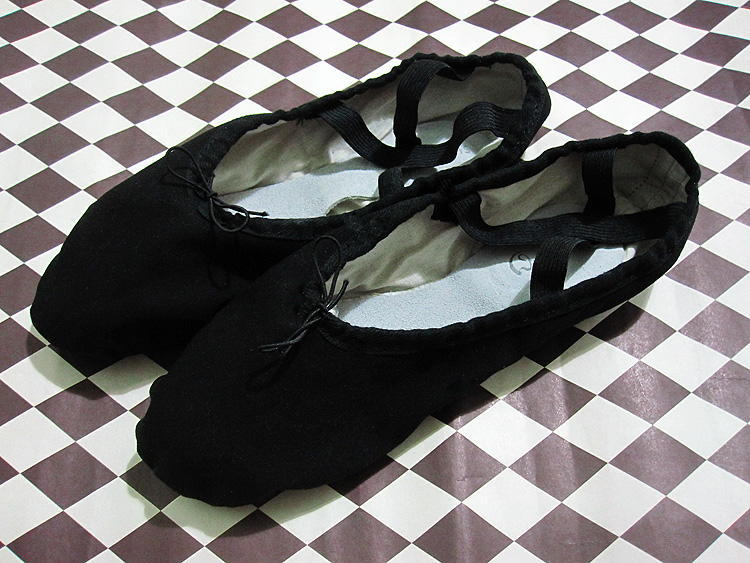 Black Swan Ballet Dance Shoes Slippers