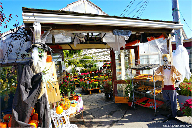 Decoraciones de Halloween en Wilson Farm, Lexington