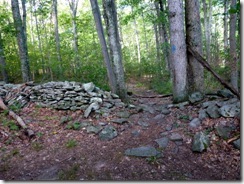 Trail crosses an old stone wall