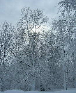 Winter sunrise in Maine