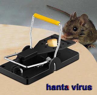 فيروس هانتا hanta virus