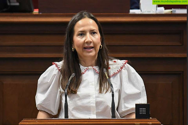 La diputada del PP Lorena Hernández Labrador la más activa de los parlamentarios palmeros