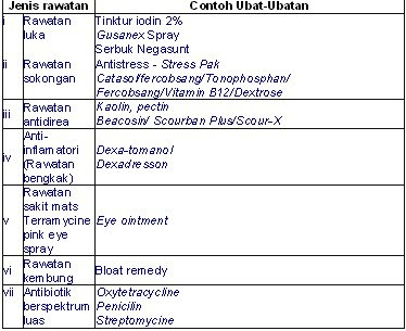 Setitis tinta: Ternakan Lembu (Fidlot) - Bahgian III