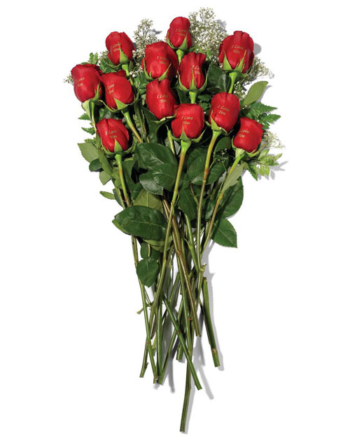 Feb 13 2004 - Valentine's Rose Giveaway, 