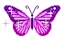 borboleta