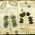 World Mysteries - Voynich Manuscript - Mystery of Voynich Manuscript