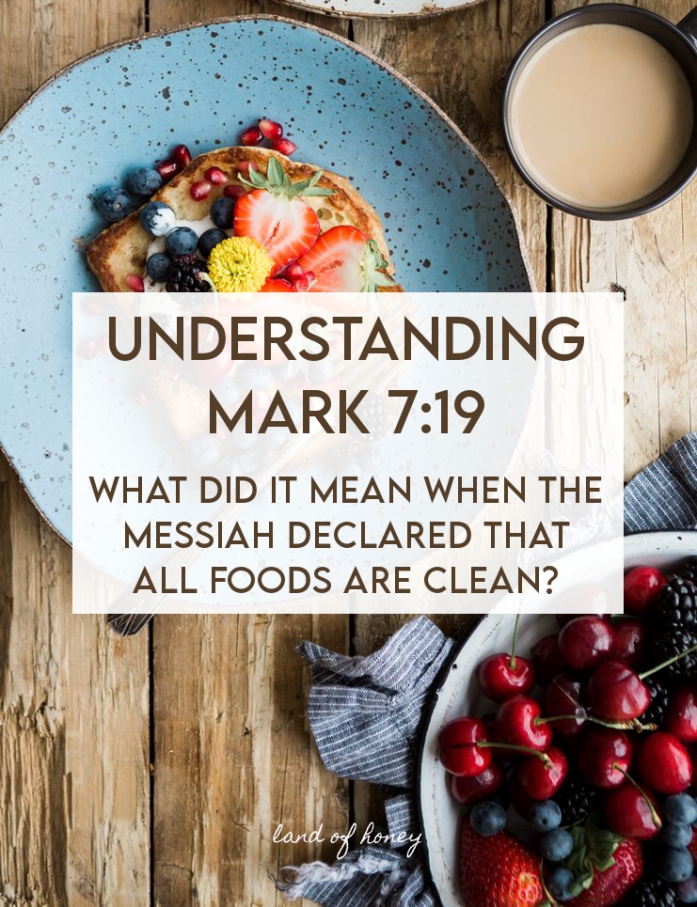 Understanding Mark 7:19 - What did it mean when the Messiah declared all food was clean? | Land of Honey