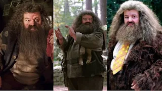 Ítens de Hagrid que resumem sua personalidade