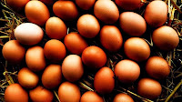 Manfaat telur mentah bagi kesehatan