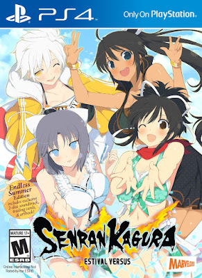 Senran Kagura Estival Versus Game Cover