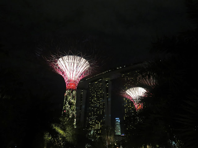 Gardens by the bay supertrees