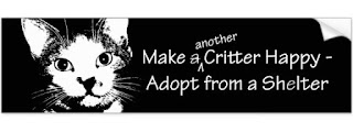 homeless pet adoption bumper sticker