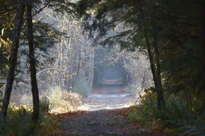 Trans Canada Trail Cowichan Valley.