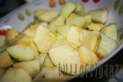 .yana lyana.: resepi : apple pie