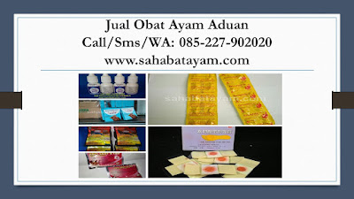 Obat Ayam Hutan Pilek, Obat Ayam Hutan Stres, Obat Ayam Ilt, Obat Ayam Infeksi Kena Jalu, Obat Ayam Ingusan