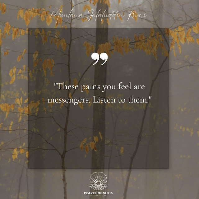 "These pains you feel are messengers. Listen to them." - Maulana Rumi