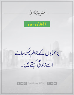 QUOTES IN URDU