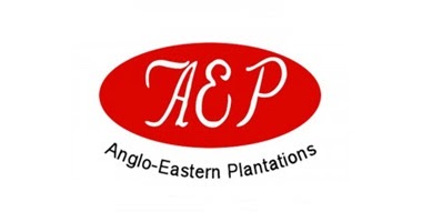 LOWONGAN KERJA MEDAN MEI 2024 D3 S1 Di PT Anglo Eastern Plantations Management Indonesia