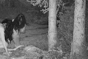 Misteri Penyihir Malam di Powell River: Rekaman Menyeramkan Munculkan Kengerian