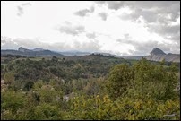 Panorama Panorama