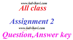 assignment 2 answer