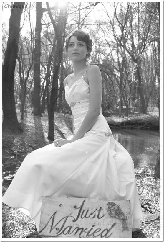 SONY DSC