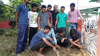 tree-planting-begusarai